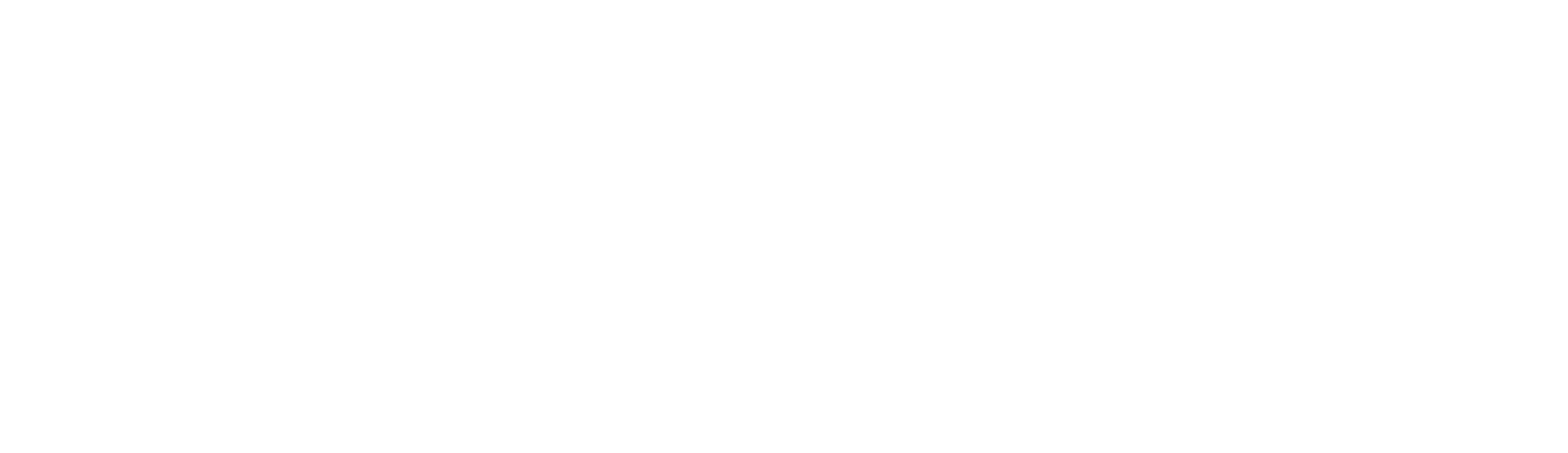 SonixScope Logo